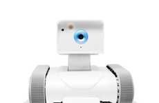 Robotic Security Systems
