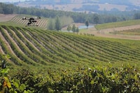 WiFi-Connected Agricultural Drones Image 2