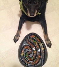 Healthy Pet Food Bowls Image 2