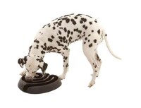 Healthy Pet Food Bowls Image 3