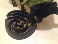 Healthy Pet Food Bowls Image 4