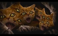 Psychedelic Cat Rap Remixes Image 6