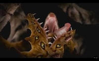 Psychedelic Cat Rap Remixes Image 7
