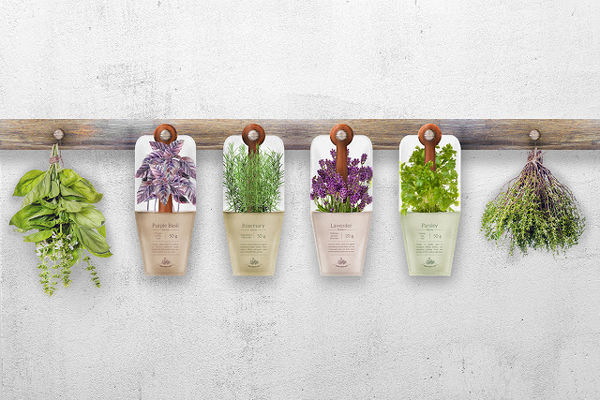 Top 100 Branding Trends in February