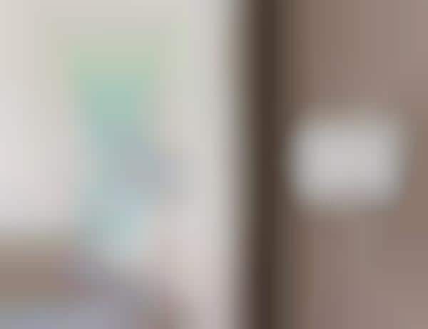 Voice-Control Thermostats
