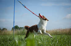 Self-Tugging Dog Toys