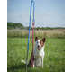 Self-Tugging Dog Toys Image 2