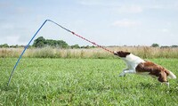 Self-Tugging Dog Toys Image 5