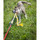 Self-Tugging Dog Toys Image 6