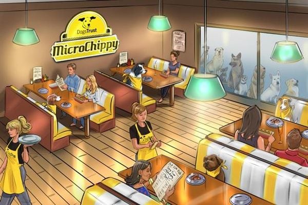 16 Pet-Friendly Restaurants