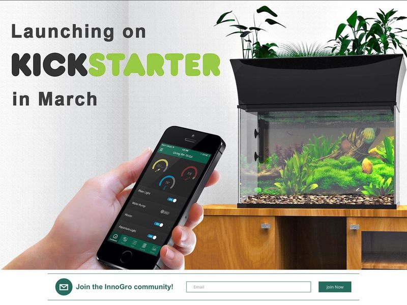 WiFi-Connected Gardens