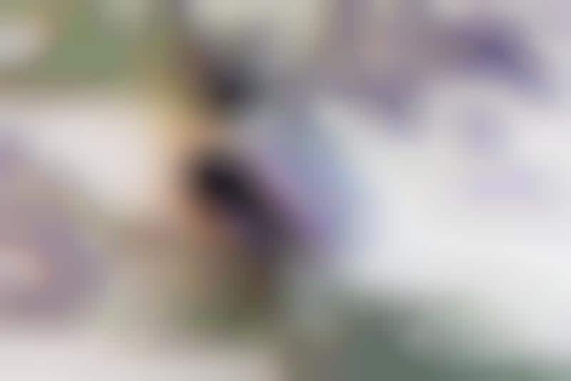 40 PlantBased Skincare Solutions