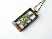 Foraged Forest Jewelry Image 2