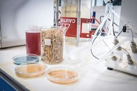 Artificial Palm Oil Alternatives Image 2