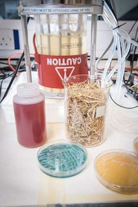 Artificial Palm Oil Alternatives Image 4