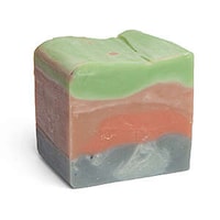 Archaeological Dinosaur Soaps Image 2