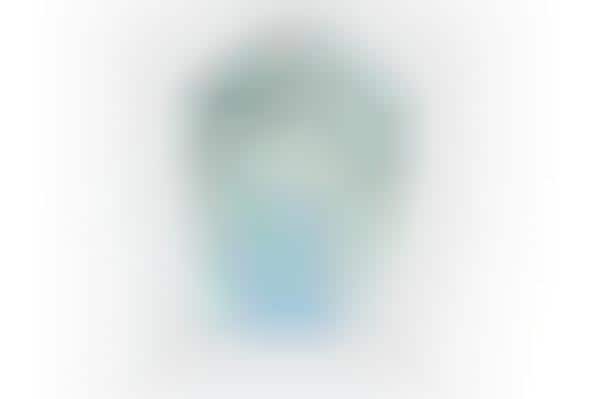 Supple Hand-Sanitizing Wipes