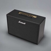 Digitally Replicating Amplifiers Image 4