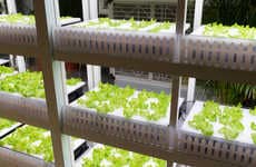 Robot-Run Farms