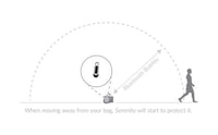 Theft-Deterring Bag Locks Image 6