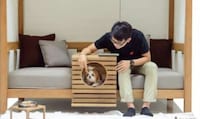 Pet-Focused Furniture Image 2