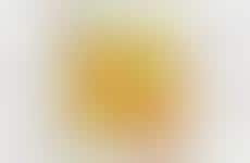 Coconut-Crusted French Toasts