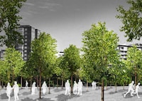 Climate Change Greenery Projects Image 3