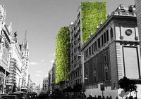 Climate Change Greenery Projects Image 5