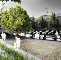 Climate Change Greenery Projects Image 6