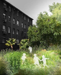 Climate Change Greenery Projects Image 8