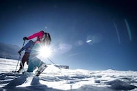 Hybrid Showshoe Skis Image 5