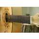 Instructional Guitar Add-Ons Image 2