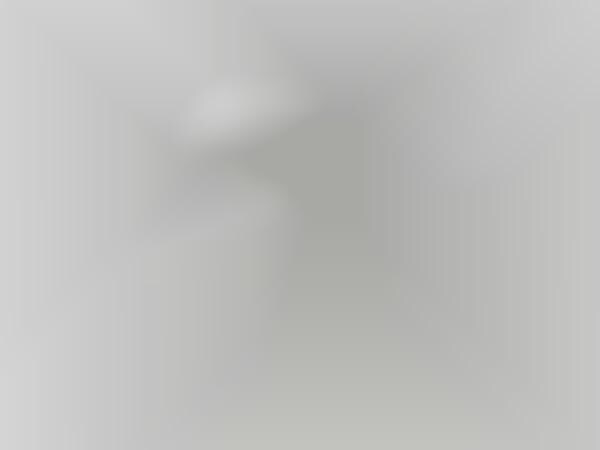 Simplistically Upscale Fans