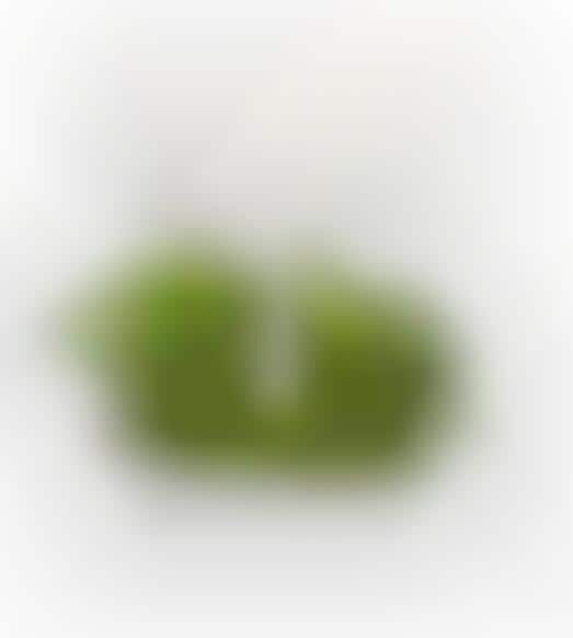 Greenery Palette Lamps