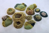 Forest Floor Carpets Image 4