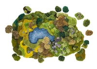 Forest Floor Carpets Image 8