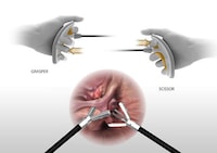 Multifaceted Surgical Instruments Image 3