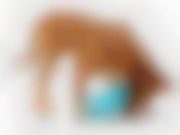 Interactive Toy Dog Bowls