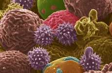 Pollen-Based Batteries