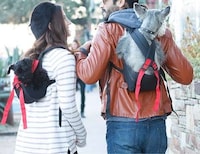 Canine-Carrying Knapsacks Image 6