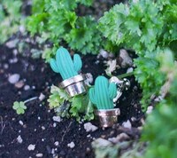 Charming Cactus Accessories Image 4