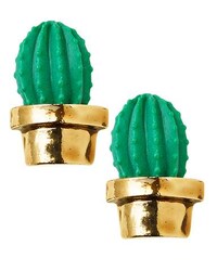 Charming Cactus Accessories Image 7