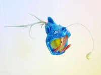 Whimsical Animal Planters Image 3