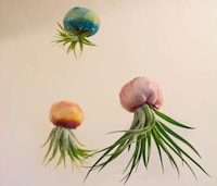 Whimsical Animal Planters Image 4