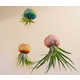 Whimsical Animal Planters Image 4