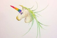 Whimsical Animal Planters Image 5