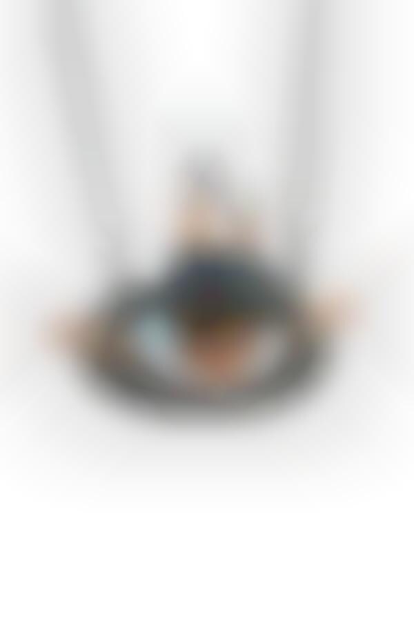Multifunctional Web-Seated Swings