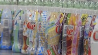 Diverse Soda Bottles Image 3