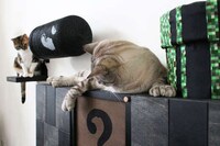 Arcade-Themed Cat Decor Image 3