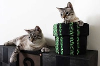 Arcade-Themed Cat Decor Image 7
